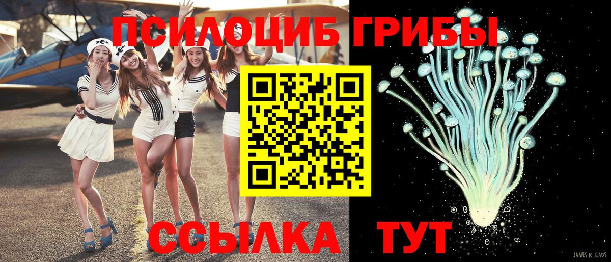 Баксан  Галлюциногенные грибы Magic Shrooms  Вход с VPN 