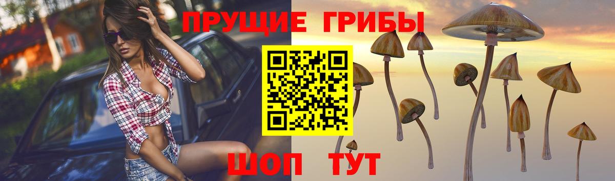 Псилоцибиновые грибы MAGIC MUSHROOMS Баксан